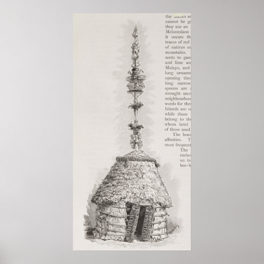 Nieuwe Caledonische hut Poster (Voorkant)