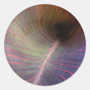 Nieuwe Canna Leaf ~ sticker