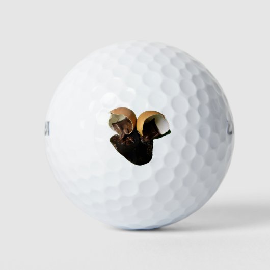 Nieuwe chocolade eieren golfballen (Voorkant)