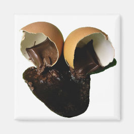 Nieuwe chocolade eieren magneet
