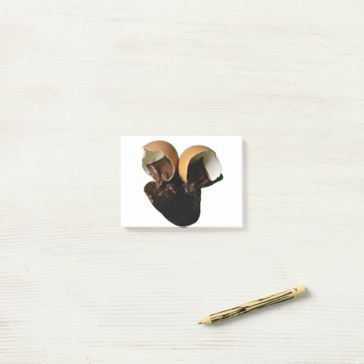 Nieuwe chocolade eieren post-it® notes (Op bureau)