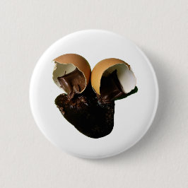 Nieuwe chocolade eieren ronde button 5,7 cm