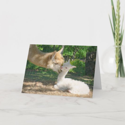 Nieuwe cria-kaart kaart (Voorkant)