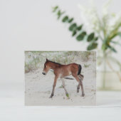 Nieuwe dag briefkaart (Staand voorkant)