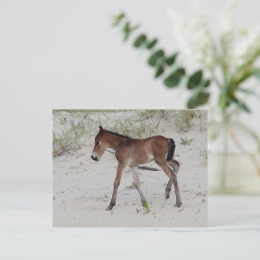 Nieuwe dag briefkaart (Staand voorkant)