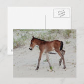 Nieuwe dag briefkaart (Voorkant / Achterkant)