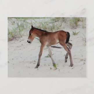 Nieuwe dag briefkaart