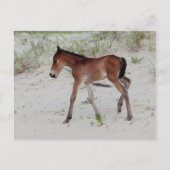 Nieuwe dag briefkaart (Voorkant)