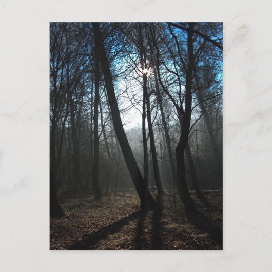 Nieuwe dag briefkaart (Voorkant)