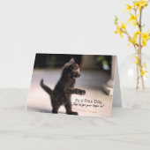 Nieuwe dag: Funny Kitten Wenskaart Kaart (Gele Bloem)