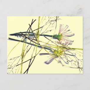 NIEUWE DESIGN BRIEFKAART