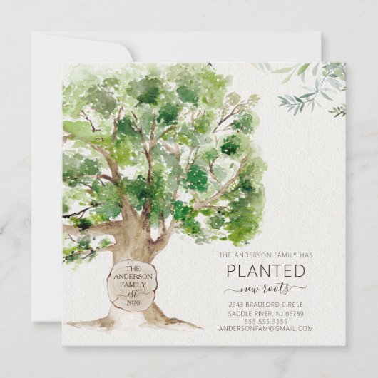 Nieuwe eikenboomstammen die aankondiging verplaats (Voorkant)