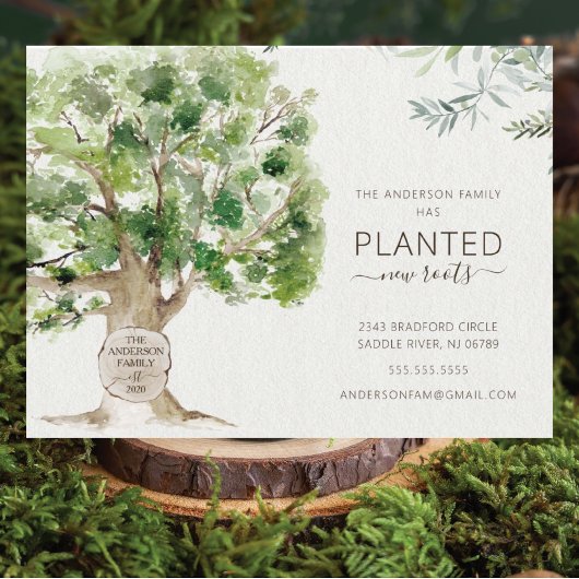 Nieuwe eikenboomstammen die aankondiging verplaats