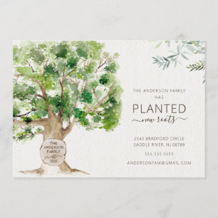 Nieuwe eikenboomstammen die aankondiging verplaats