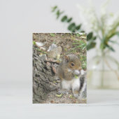 nieuwe engelse eekhoorn geniet van een lekkere sna briefkaart (Staand voorkant)