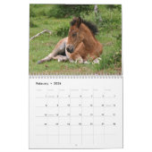 Nieuwe Forest Ponies Kalender (Feb 2026)