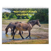 Nieuwe Forest Ponies Kalender (Hoes)