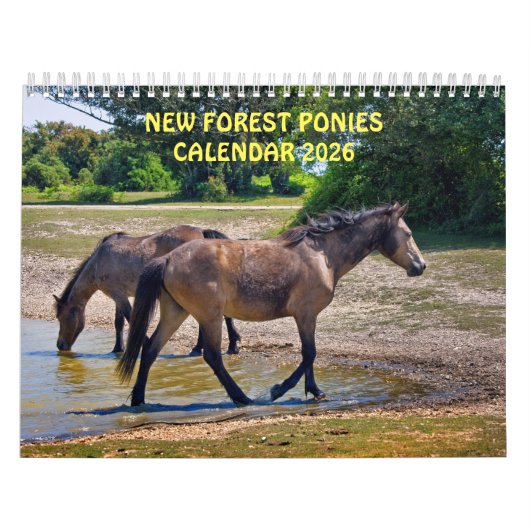 Nieuwe Forest Ponies Kalender (Hoes)
