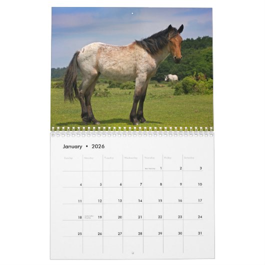 Nieuwe Forest Ponies Kalender (Jan 2026)