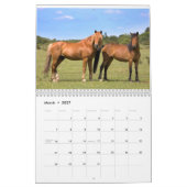 Nieuwe Forest Ponies Kalender (Mar 2027)