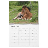 Nieuwe Forest Ponies Kalender (Feb 2027)