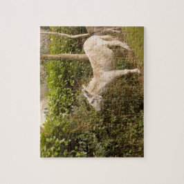 Nieuwe foto-jigzaag van Forest Pony roaming Legpuzzel