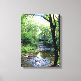 Nieuwe foto Zonlicht Tennessee Mountains Creek Tre Canvas Afdruk