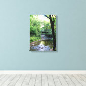 Nieuwe foto Zonlicht Tennessee Mountains Creek Tre Canvas Afdruk (Insitu (Houten vloer))