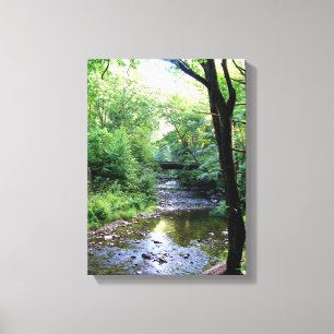 Nieuwe foto Zonlicht Tennessee Mountains Creek Tre Canvas Afdruk