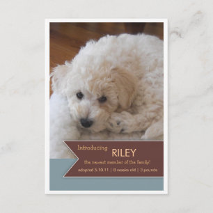 Nieuwe foto's van foto's met bruin gebanner op fot aankondiging