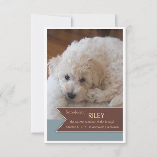 Nieuwe foto's van foto's met bruin gebanner op fot aankondiging (Voorkant)