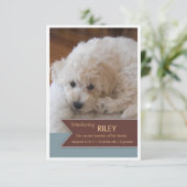 Nieuwe foto's van foto's met bruin gebanner op fot aankondiging (Staand voorkant)