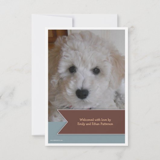 Nieuwe foto's van foto's met bruin gebanner op fot aankondiging (Achterkant)