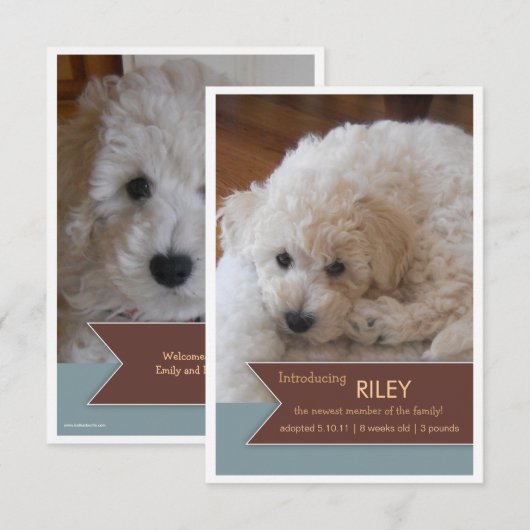 Nieuwe foto's van foto's met bruin gebanner op fot aankondiging (Voorkant / Achterkant)