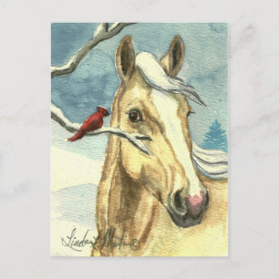 Nieuwe Friend Wild Horse Post Card Briefkaart