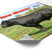 NIEUWE GAR-MARKT POSTER (Hoek)