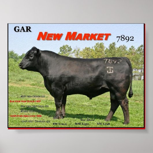 NIEUWE GAR-MARKT POSTER (Voorkant)