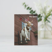 Nieuwe Glarus Cow Briefkaart (Staand voorkant)