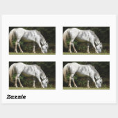 Nieuwe grazing van pony rechthoekige sticker (Vel)