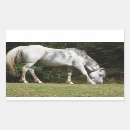 Nieuwe grazing van pony rechthoekige sticker