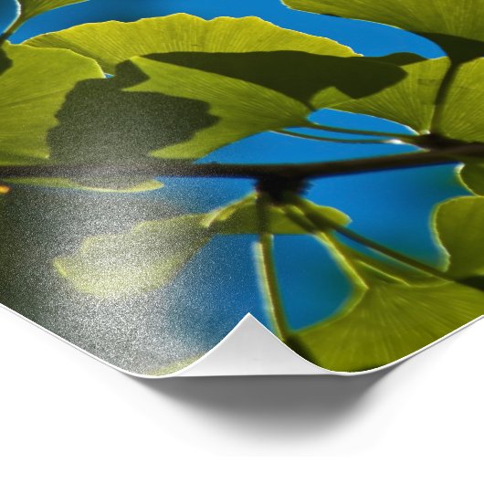 Nieuwe groei. foto afdruk (Hoek)