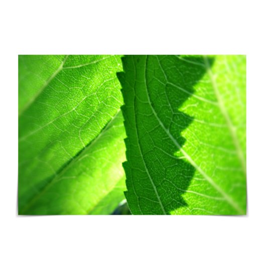 Nieuwe groene Kaart voor een nieuwe taak