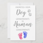 Nieuwe grootouders Zwangerschap uit de hond Aankondiging (Voorkant)