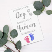 Nieuwe grootouders Zwangerschap uit de hond Aankondiging