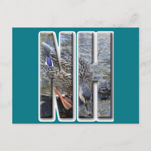 NIEUWE HAMPSHIRE BRIEFKAART (Voorkant)