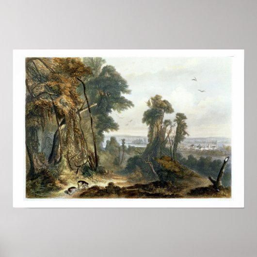 Nieuwe harmonie op het wasgoed, bord 2 van Volume  Poster (Voorkant)