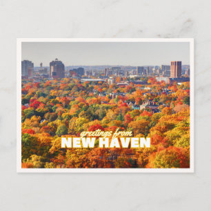 Nieuwe Haven Connecticut Herfstloof Groet Briefkaart