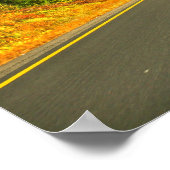 nieuwe herfst van hampshire bladernajaar engeland poster (Hoek)