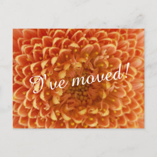 Nieuwe home moving briefkaarten Close-up foto va