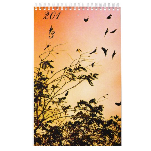 nieuwe hoop kalender (Hoes)